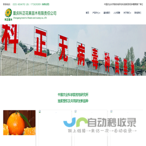 元贝驾考_元贝驾考2025科目一_元贝驾考2025科目四